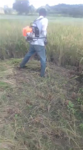 2014 Agriculture Machine Hand Held Weeding Machine / Mini Gasoline Power Weeder