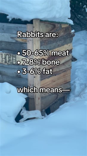 Cedar Hills Homestead on Instagram: "What to expect from wild and domestic rabbits"