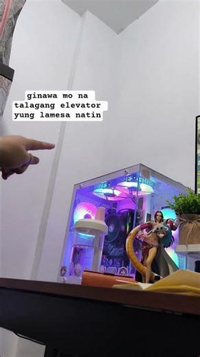 computer table yan hindi elevator #catlife #furbaby