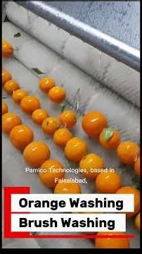 Fruit and vegetable Washing machine. #agriculture #agriculturefarming #food