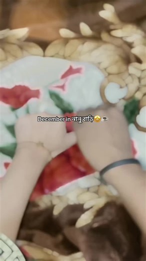 December Memories at Nanu Bari