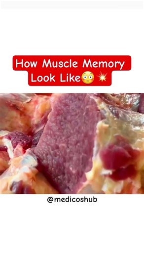 Muscle Memory Explained | Why the Body Never Forgets Movement |Brain & Nervous System #viral #shorts