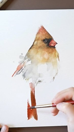 Watercolor female cardinal Original available | Painted Wing