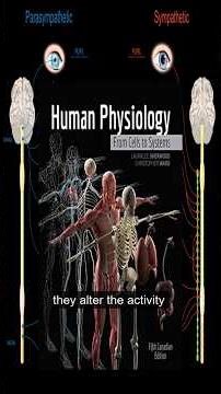 08 -The Neurophysiology of Emotions