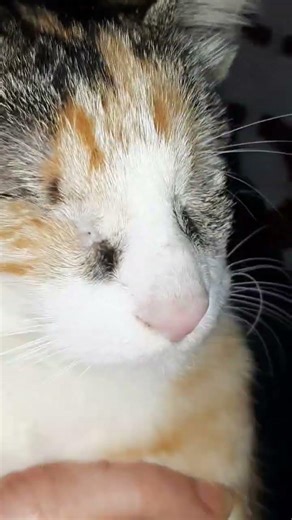 ١٦ مارس ٢٠٢٦