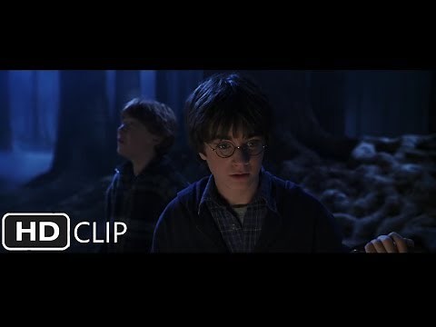 Follow The Spiders | Harry Potter and the Chamber of Secrets