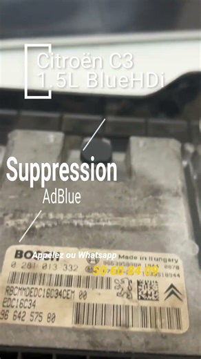 Citroën C3 BlueHDi — Suppression AdBlue, problème réglé définitivement