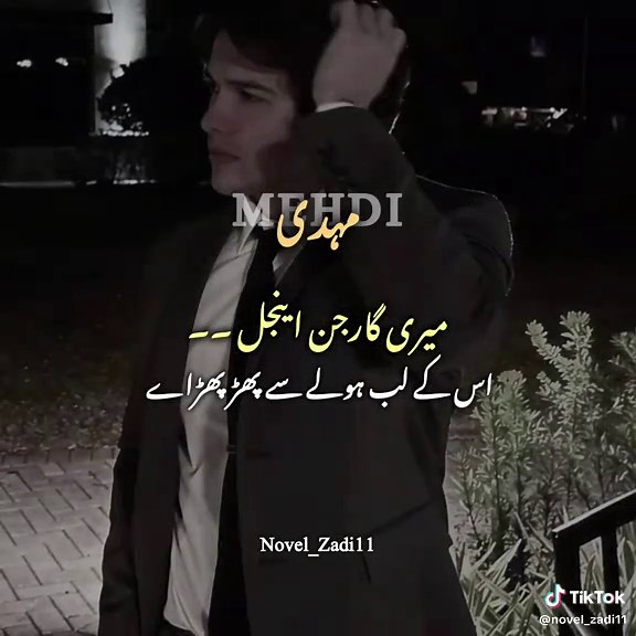 Mehdi Kambeer: Unraveling the Fictional Character