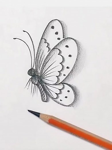 Realistic Butterfly Drawing Tutorial with Simple Strokes