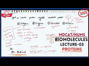MDCAT | NUMS | Biological Molecules | Lecture-03 | Proteins