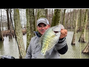 2022 Mississippi Fish Camp (Three Days Of Catching Beautiful Crappie on Lake Washington)