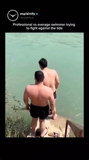 sci || tech || history on Instagram: "Every stroke is a full-body resistance workout: your legs generate propulsion, your core stabilizes your body in a low-buoyancy environment, and your shoulders and lats pull your entire weight through water — a substance 800x denser than air. That’s why competitive swimmers develop elite cardiovascular endurance and serious muscle power just to maintain speed and form in the water. 🧠 Follow (us) @explainify.io for more daily content like this!"