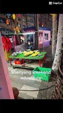 Weekend in Shenyang 🇨🇳 | Ultimate Food Adventure in China