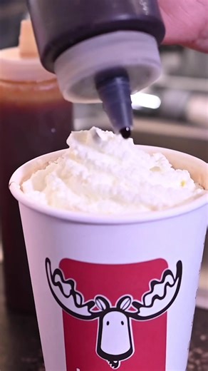 JavaMoose Coffee on TikTok