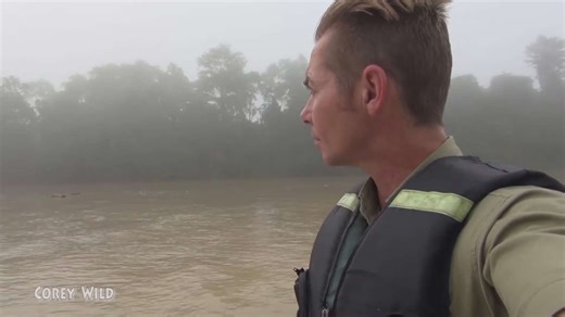 World's most dangerous creepy crawling creatures