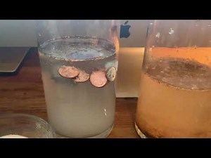 Solidify Water Sawdust vs RNR