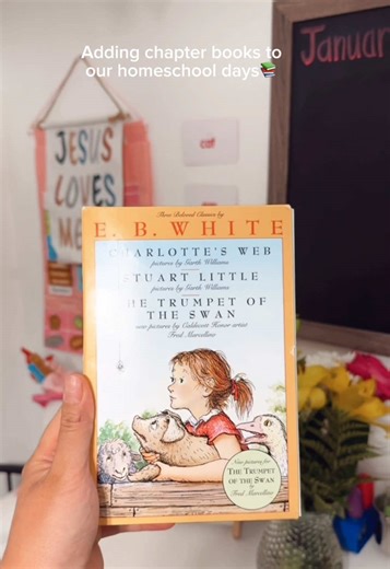 Reading a chapter a day & adding an activity to it. 🤍 #books #reading #writing #kindergarten #homeschool