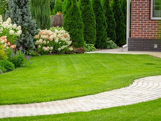 Create A Healthy, Weed-Free Lawn With Yates Weed ‘N’ Feed - Bunnings Australia