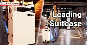 Leading Suitcase - Direct Talk