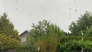 10K views · 227 reactions | I may have a problem!!! | Whatcom County Weather | Facebook