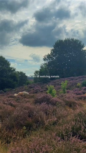 This is calmness to my soul 💚 #countrysidelife #countryliving #countryside #wildlife #slowliving