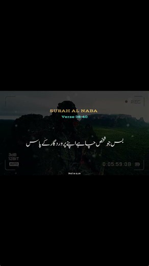 Surah AL NABA translation #unfrez #quranictranslation #viral #viral #islamic #fyp #quran