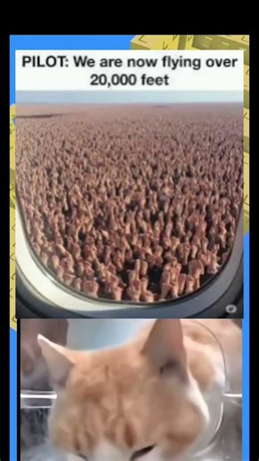 wait a min are those feet? 🫢