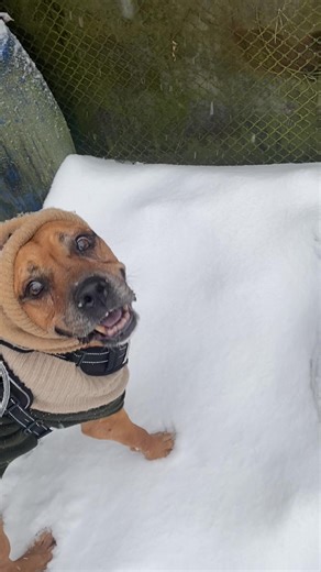 #foryou #dlaciebie #15yearsold #wintervibes #