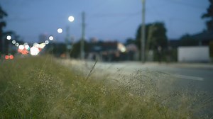 Friday night, more than 600 Catholic men took part in the Catholic Archdiocese of Sydney’s annual Camino of St Joseph. This year, the men walked through the night starting at St Anthony of Padua, Austral, concluding at St Joseph's Parish, Moorebank. It was an evening of pilgrimage, prayer, and fraternity in honour of our Spiritual Father for the Feast of St Joseph the Worker | Catholic Archdiocese of Sydney