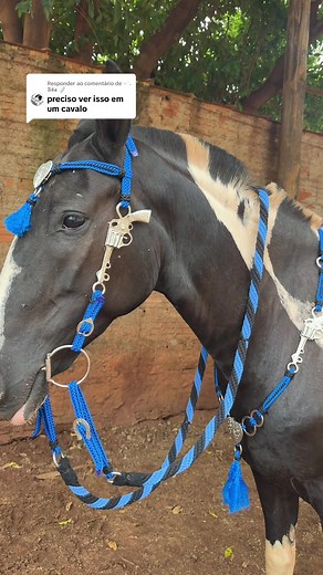 Fotos de Cavalos na Cavalgada