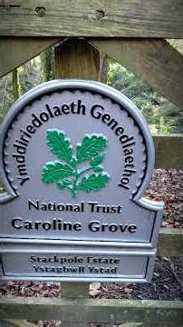 Discovering a West Wales Woodland WONDERLAND. The Beautiful STACKPOLE ESTATE.