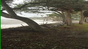 Fantastic mix of power and beauty as could only be enjoyed on Daufuskie. And a few hours later the sun shines. Thank goodness Haig Point appreciates and cares for Daufuskie's beautiful shore line. #HaigPoint | Haig Point