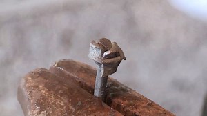 A blacksmith volunteer at the Farming of Yesteryear event in 2014 in Kiester, Minn., demonstrated how to make a rosebud. The full episode on this event is on our YouTube channel at www.youtube.com/ruralheritage #blacksmithing | Rural Heritage Magazine