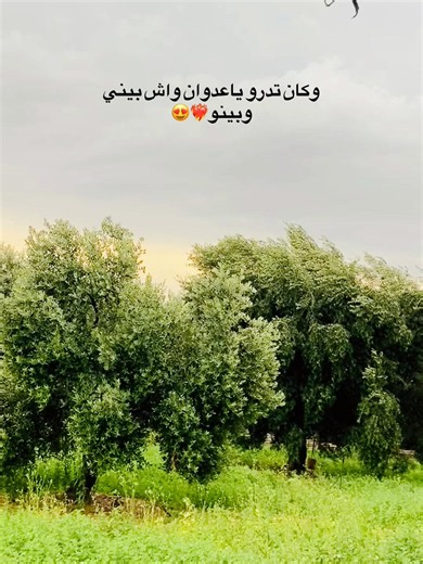 #😍😍😍😍😍😍😍 #fyppppppppppppppppppppppp #🇹🇳🇹🇳🇹🇳 #following #تونسية🇹🇳🇹🇳