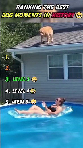 Ranking the Most Legendary Dogs Ever! 🐶🏆 #shorts #dog