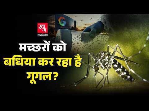 Google 3 करोड़ मच्छरों को क्यूँ छोड़ना चाहता है? | Debug Project Explained