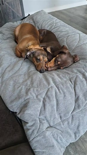 Simply Holly Smith (@hollysmith883)’s videos with original sound - Simply Holly Smith