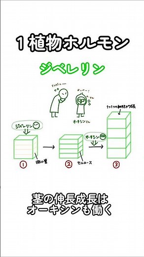 これでラストです！忘れてるところはおうち生物の動画で復習してな！ #共通テスト #高校生物