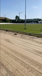 NICE WORKOUT DOG WORKING OUT ON THE TRACK #viral #trending #animal #workout #fitness #health #shorts
