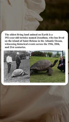 the oldest living land animal on earth is a 192-year-old tortoise named Jonathan