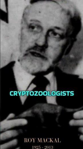 Hunting the Mokele-Mbembe: Africa's Living Dinosaur? #MysteriousCreatures
