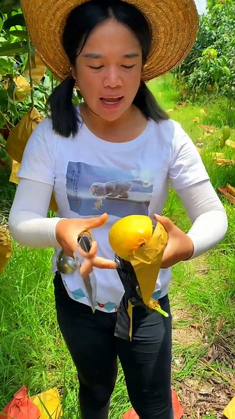 Qianjie's Orchard's Amazing Videos