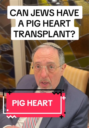 Jewish Law on Pig Heart Transplants Explained