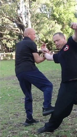 Silent Control: Qinna Arm Lock & Balance Break