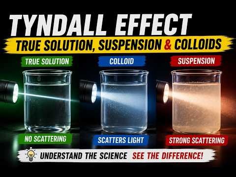 Tyndall Effect: Light Scattering in Solution, Suspension & Colloid | Spectra Classes