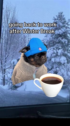 Going Back to Work After Winter Break: Tips for Success