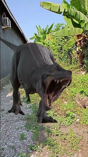 Dora Di Kejar T-rex 🦖😱 #shorts #lucu #viral