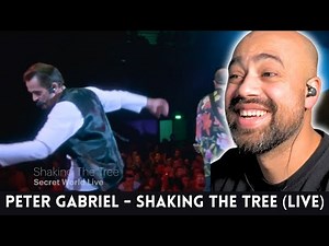 Shocking Performance! Peter Gabriel - Shaking The Tree (Live) | Guitarist Reaction