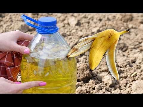 STOP Throwing Away Banana Peels! Do THIS Instead