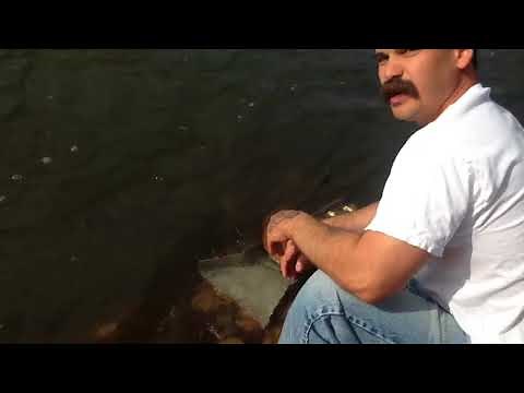 Adam's Adventures: Panning for gold in the Kern River!